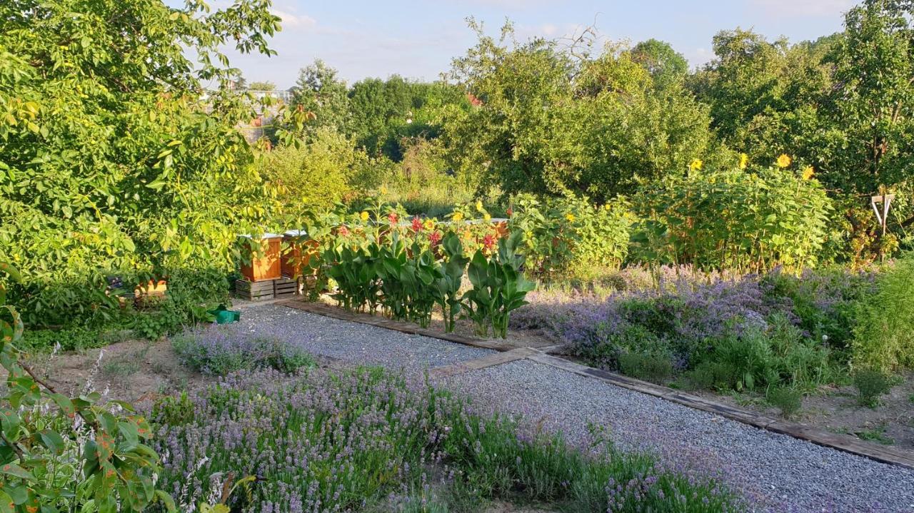 Agroturystyka U Joli Pacanow Exterior photo